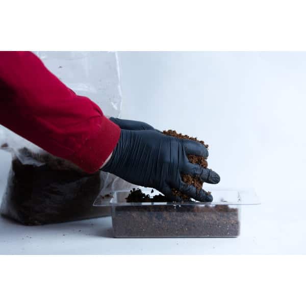 A gloved hand fills a clear tray with soil, with a bag of compost in the background.