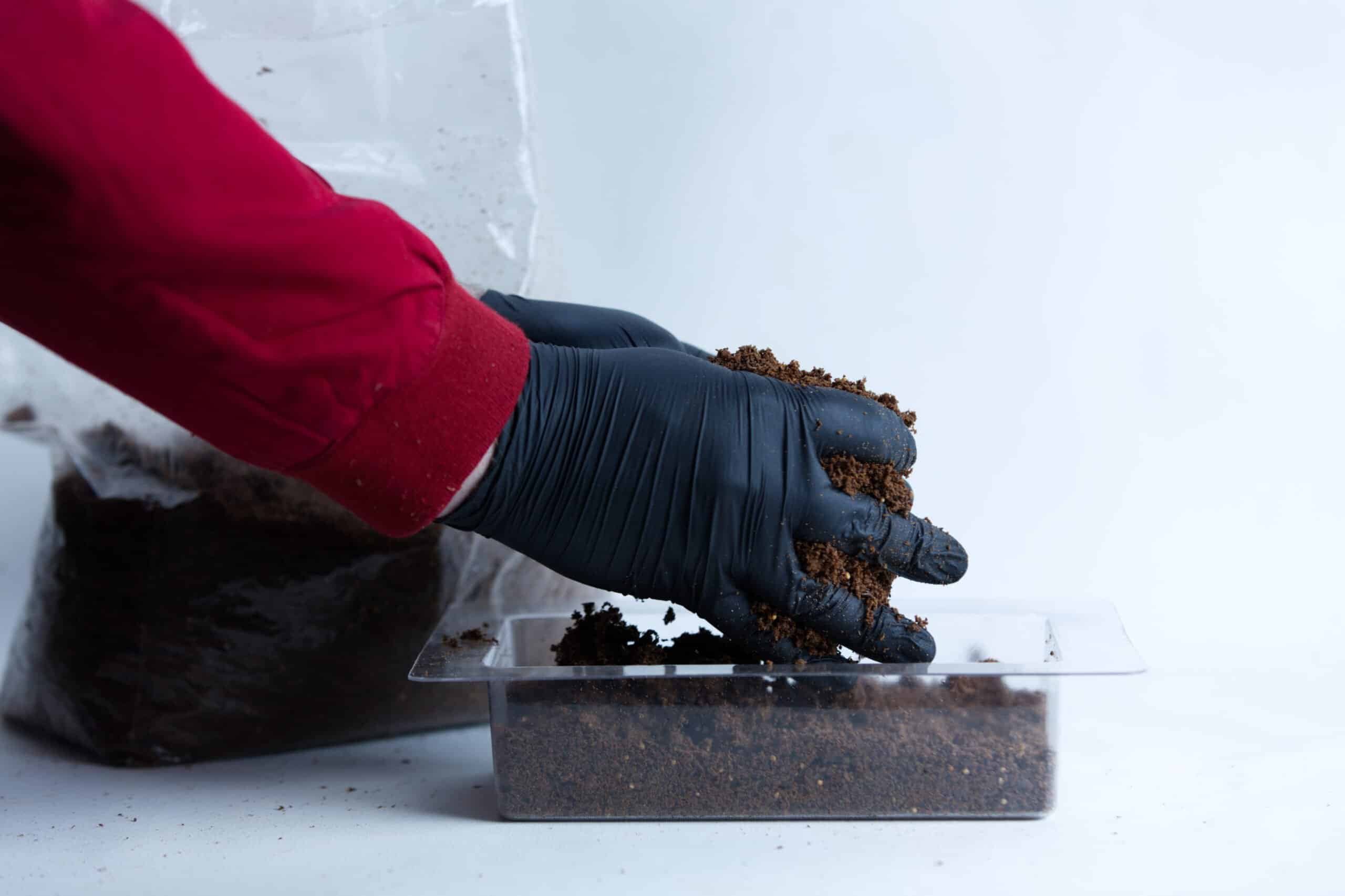 Mycelium Mold Growth form -Brick (Reusable) 5 A gloved hand fills a clear tray with soil, with a bag of compost in the background.