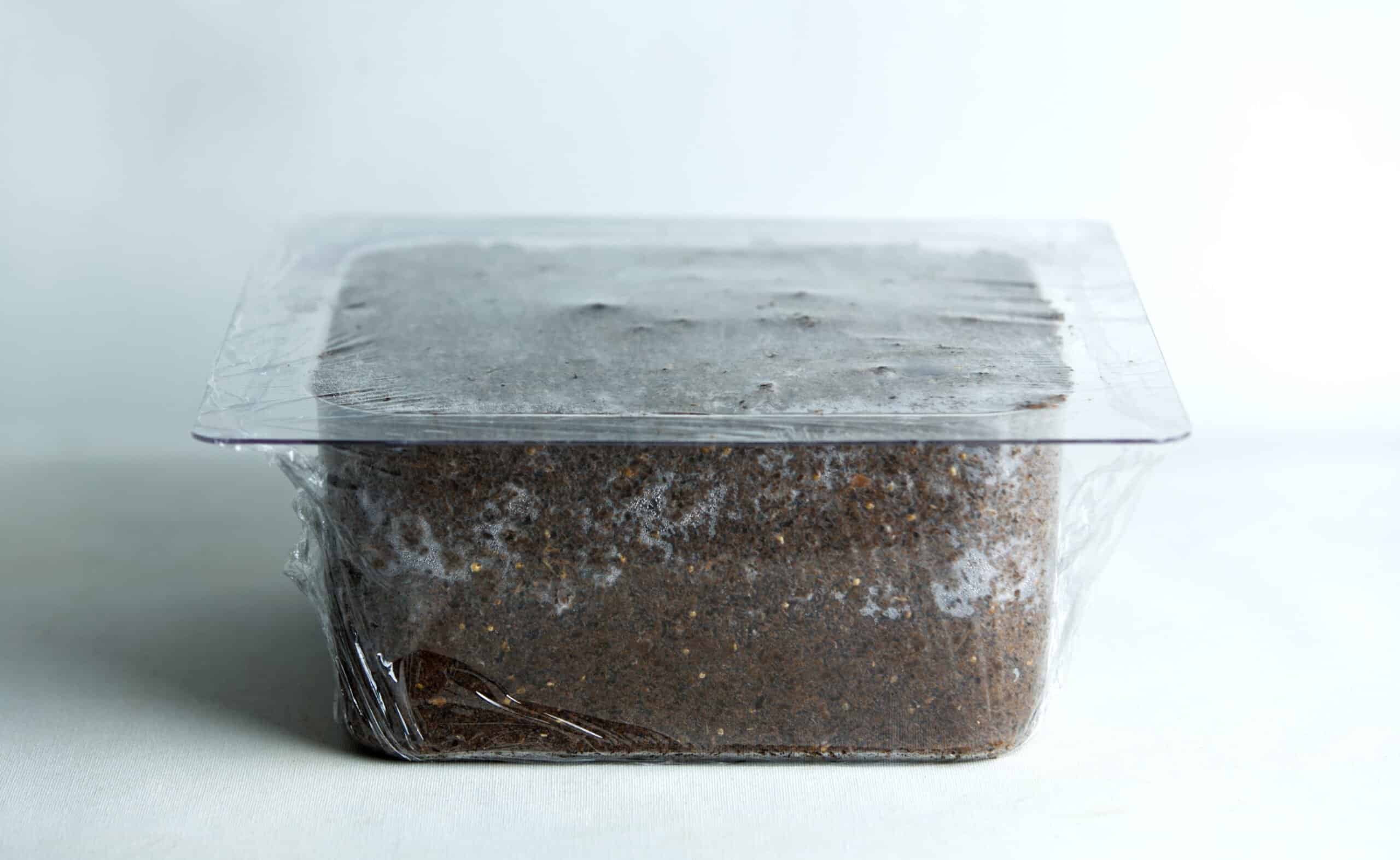 Mycelium Mold Growth Form - Plant pot Heavy Duty (Reusable) 7 A rectangular container filled with soil, covered tightly with cling film.