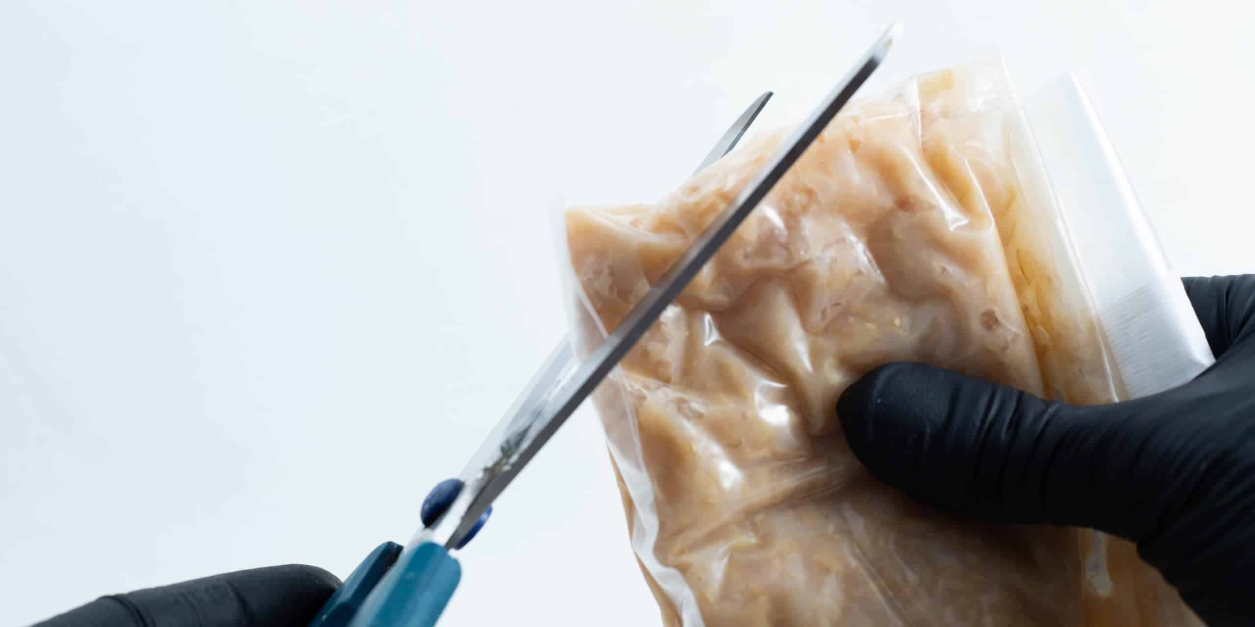 Cutting Codryceps Substrate bag