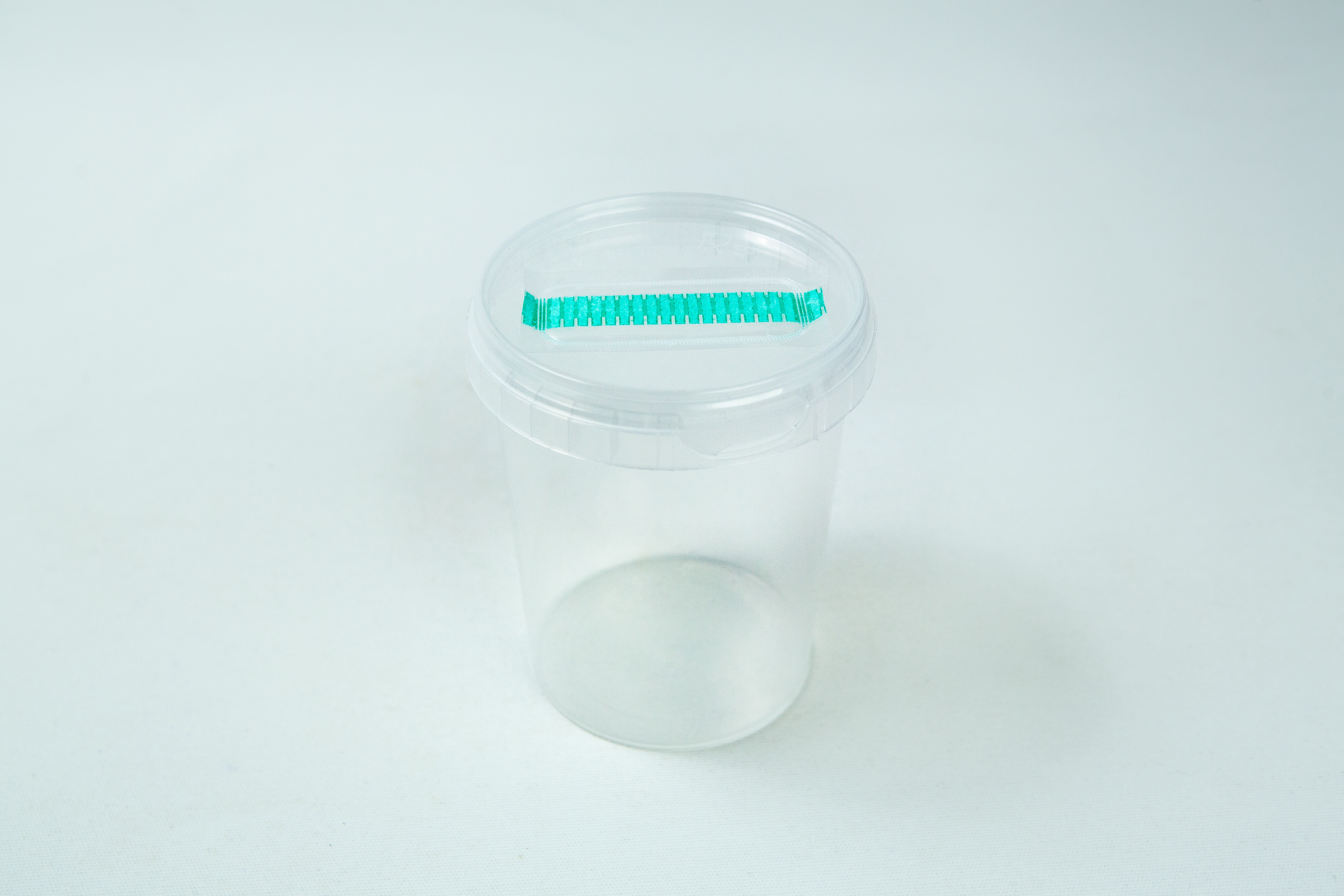 Cordyceps militaris Mushroom Grow Kit 2 The Cordyceps militaris Mushroom Grow Kit is a clear plastic container with a transparent lid and a green object attached to the top for easy mushroom cultivation.