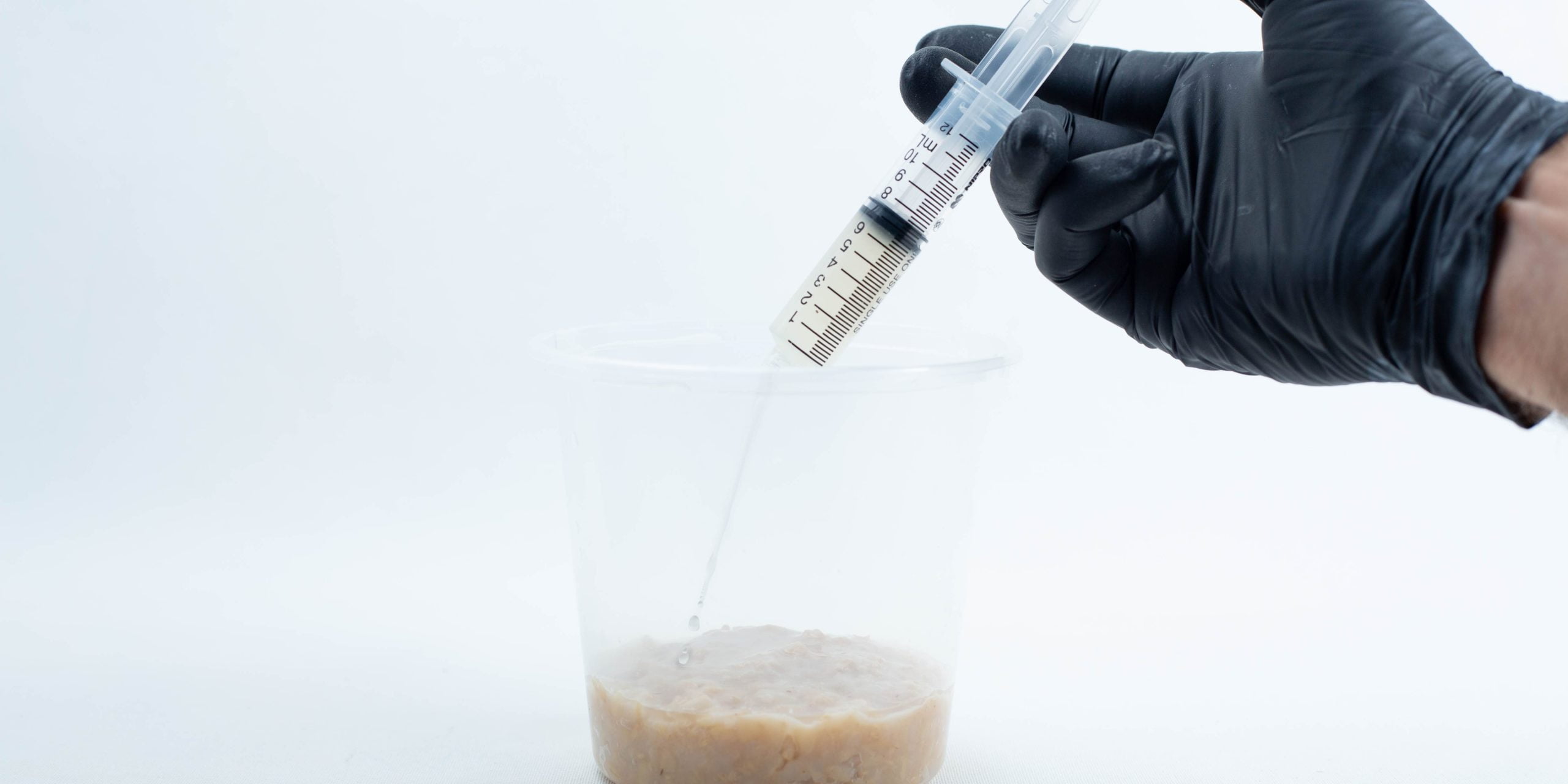 Cordyceps militaris Mushroom Grow Kit 3 A gloved hand holds a syringe above a plastic container with a beige, lumpy liquid inside.