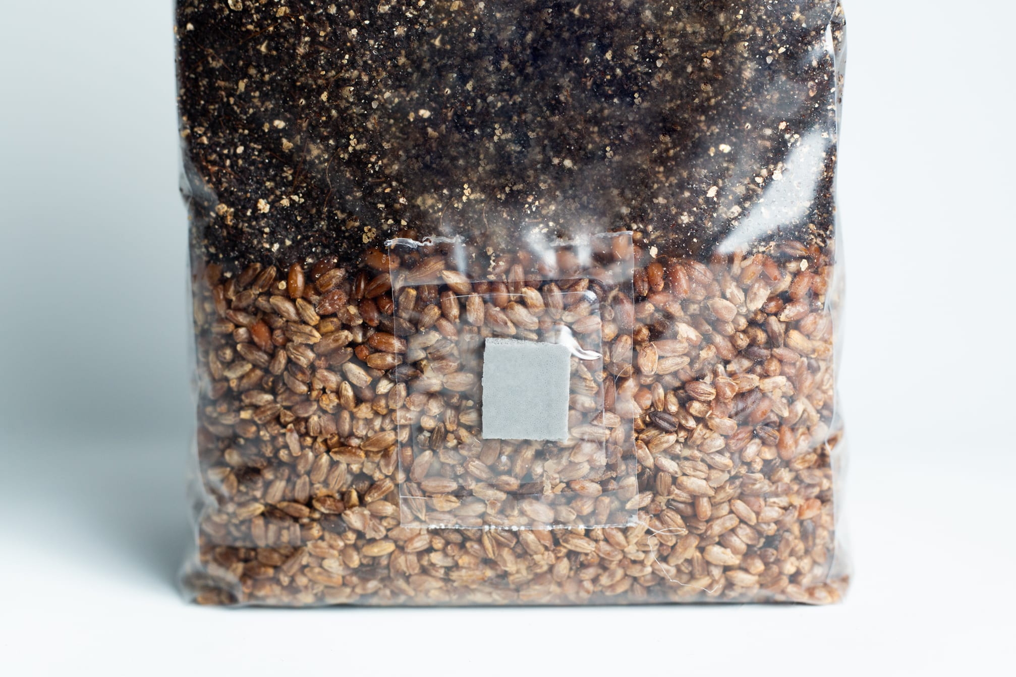 All in one Coco Coir+Vermiculite | organic rye | Millet | 1kg | 2kg Mushroom bag | Instruction 4 Clear plastic bag filled with grains and soil, sealed with a small square filter patch on the front.
