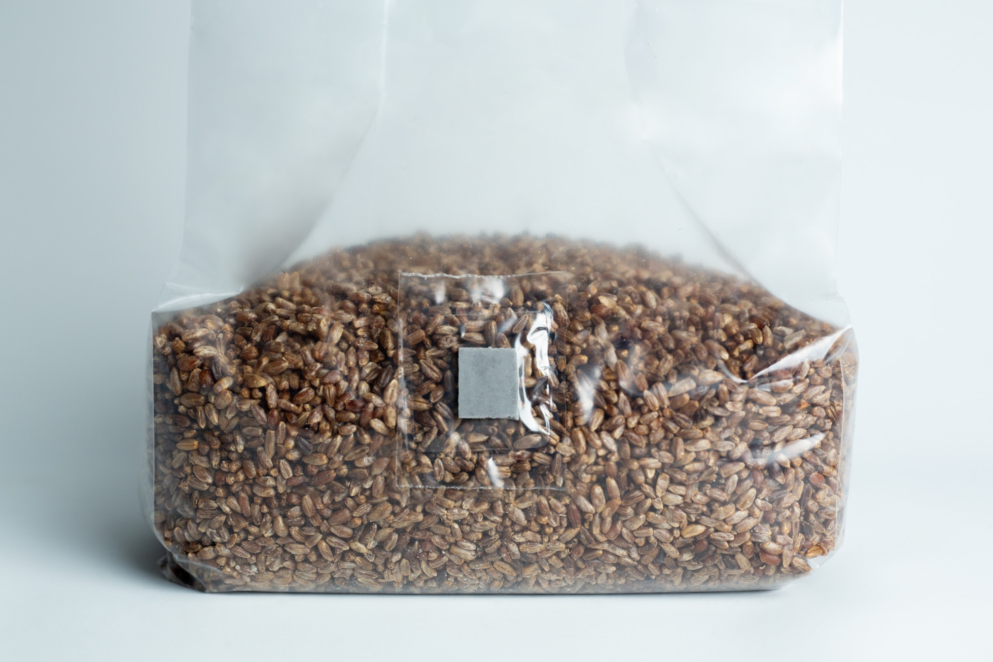 Monotub mushroom growing kit- Max Yield Bins 12 A sealed plastic bag filled with grains, viewed against a plain white background.