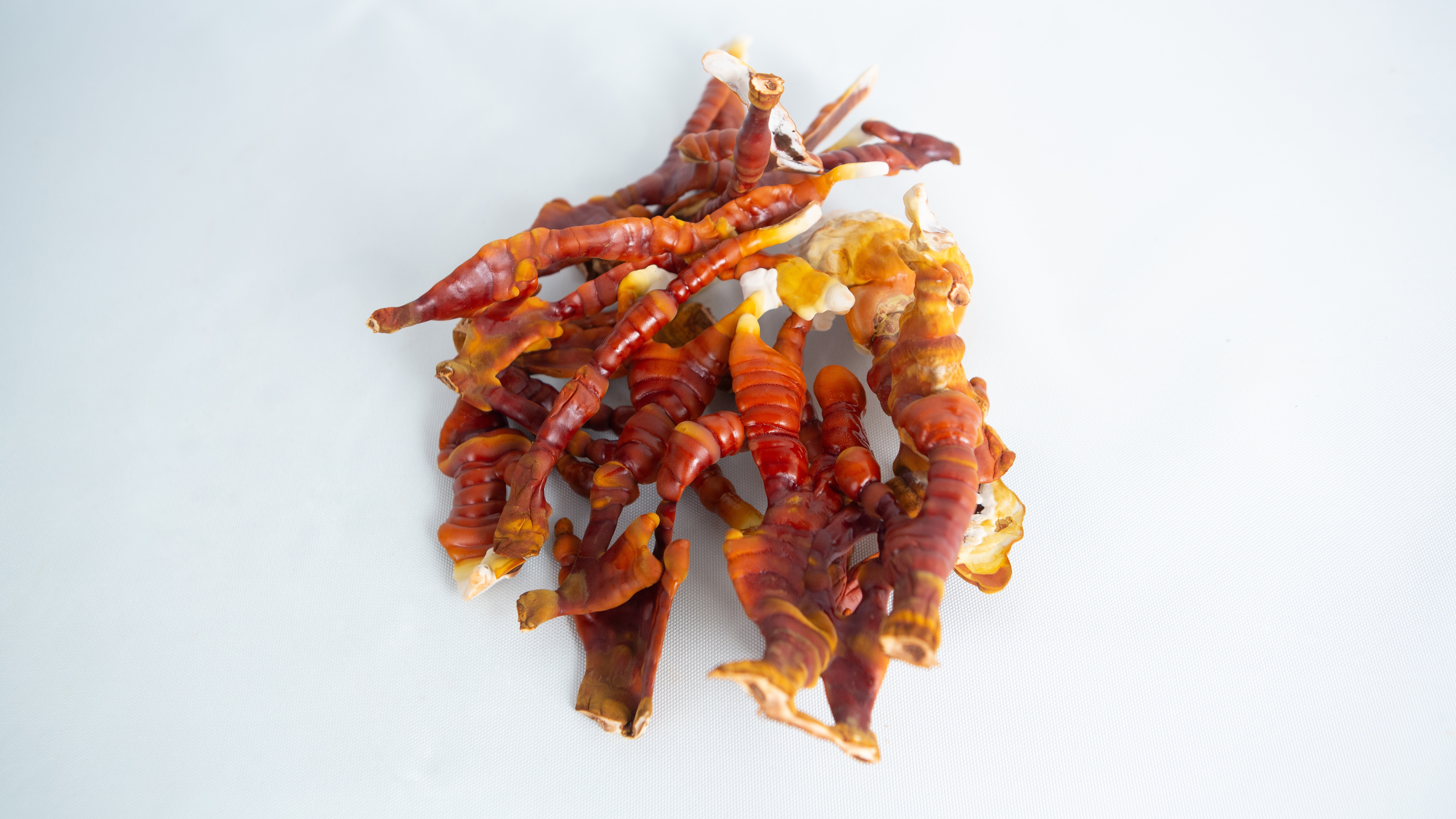 Dehydrated Reishi Mushroom (Whole or powder) Australian grown 1 A cluster of orange and brown dried sea cucumbers rests on a white background, evoking the natural textures seen in a CO2 Generator Bag 3kg.