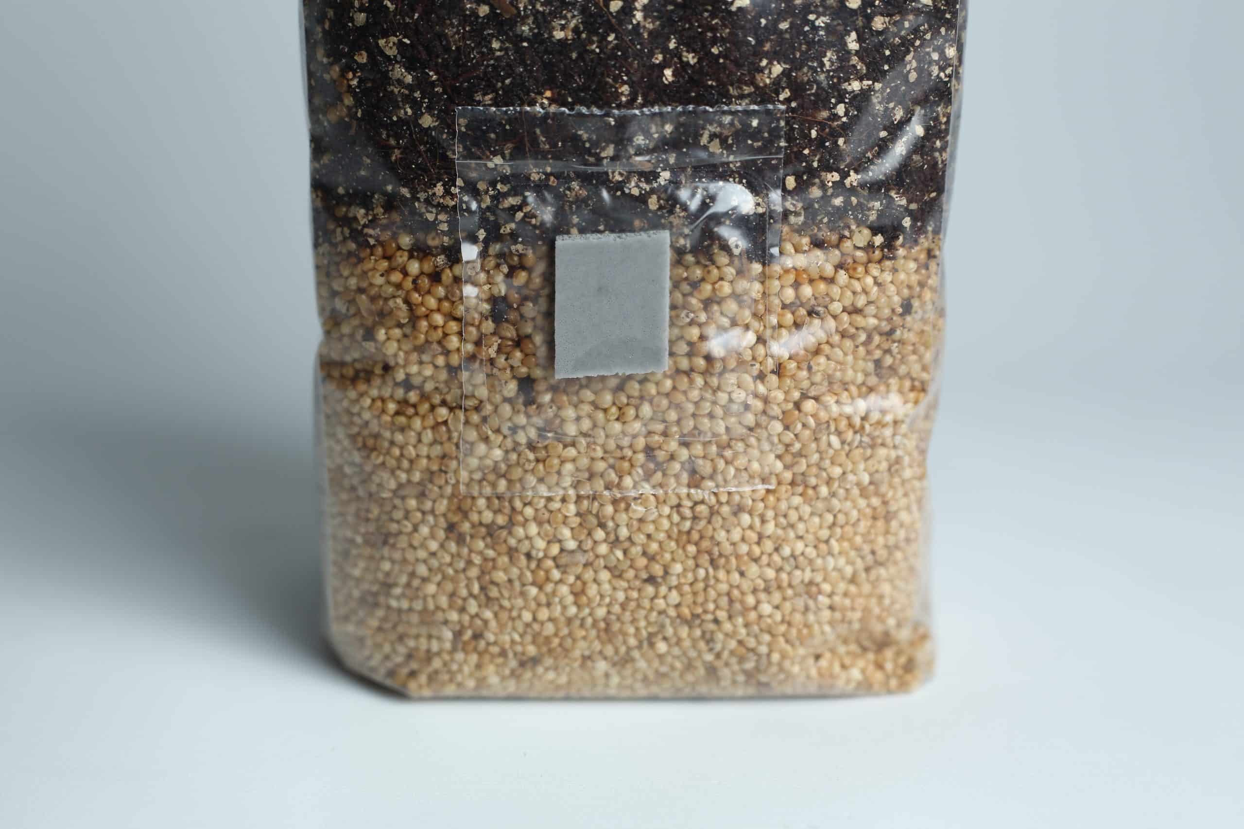 All in one Coco Coir+Vermiculite | organic rye | Millet | 1kg | 2kg Mushroom bag | Instruction 5 A plastic bag filled with white grains at the bottom and dark soil at the top.