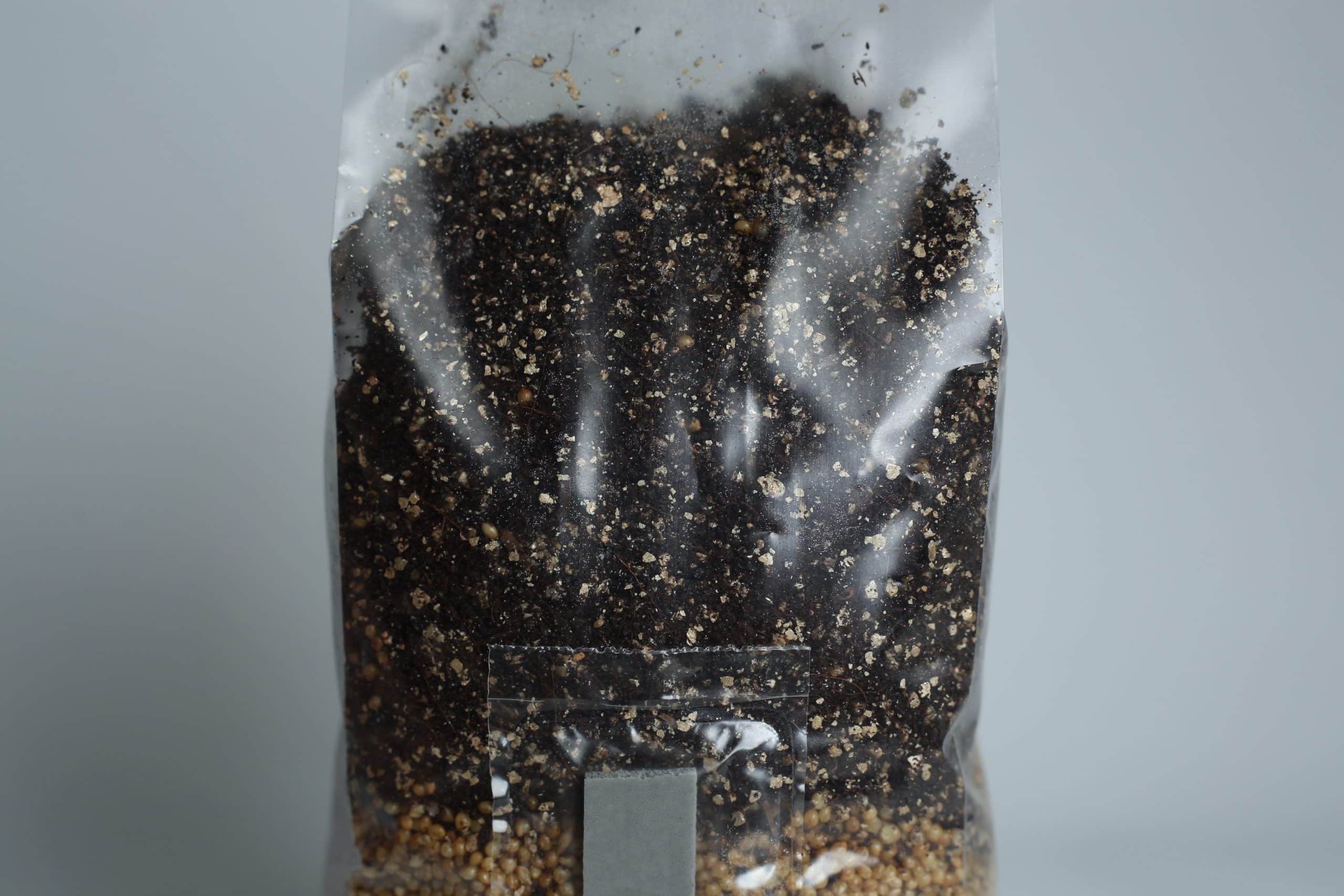 All in one Coco Coir+Vermiculite | organic rye | Millet | 1kg | 2kg Mushroom bag | Instruction 9 A clear plastic bag filled with potting compost and small stones, sealed at the top.