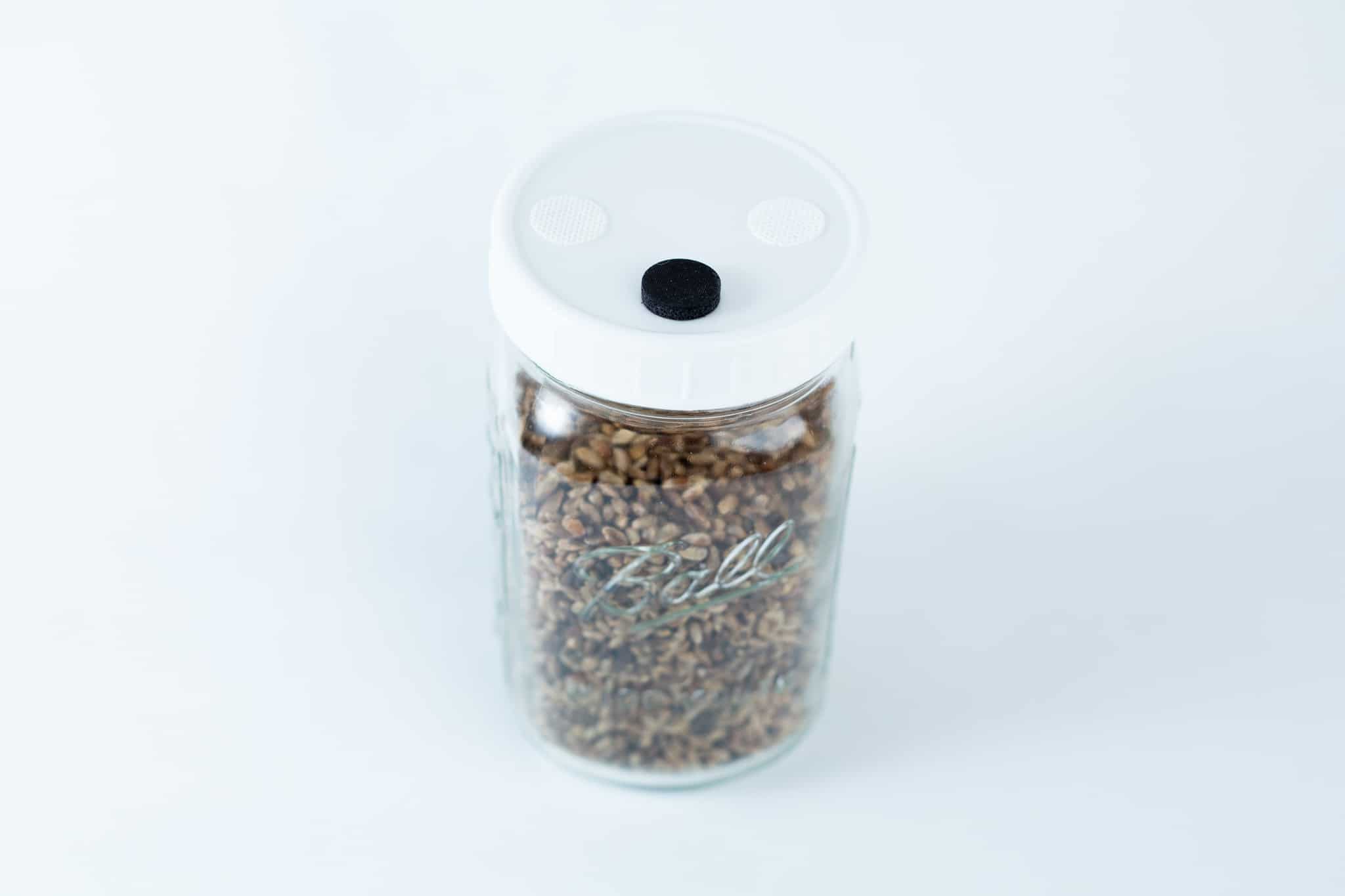 Grain Jars ball 1 L Pre-Sterilized | Millet | Organic Rye | Reusable Jar and lid 3 A 1L Grain Jars jar, pre-sterilised and filled with organic millet and rye seeds, comes in a reusable glass jar with a white lid, photographed against a simple light background.