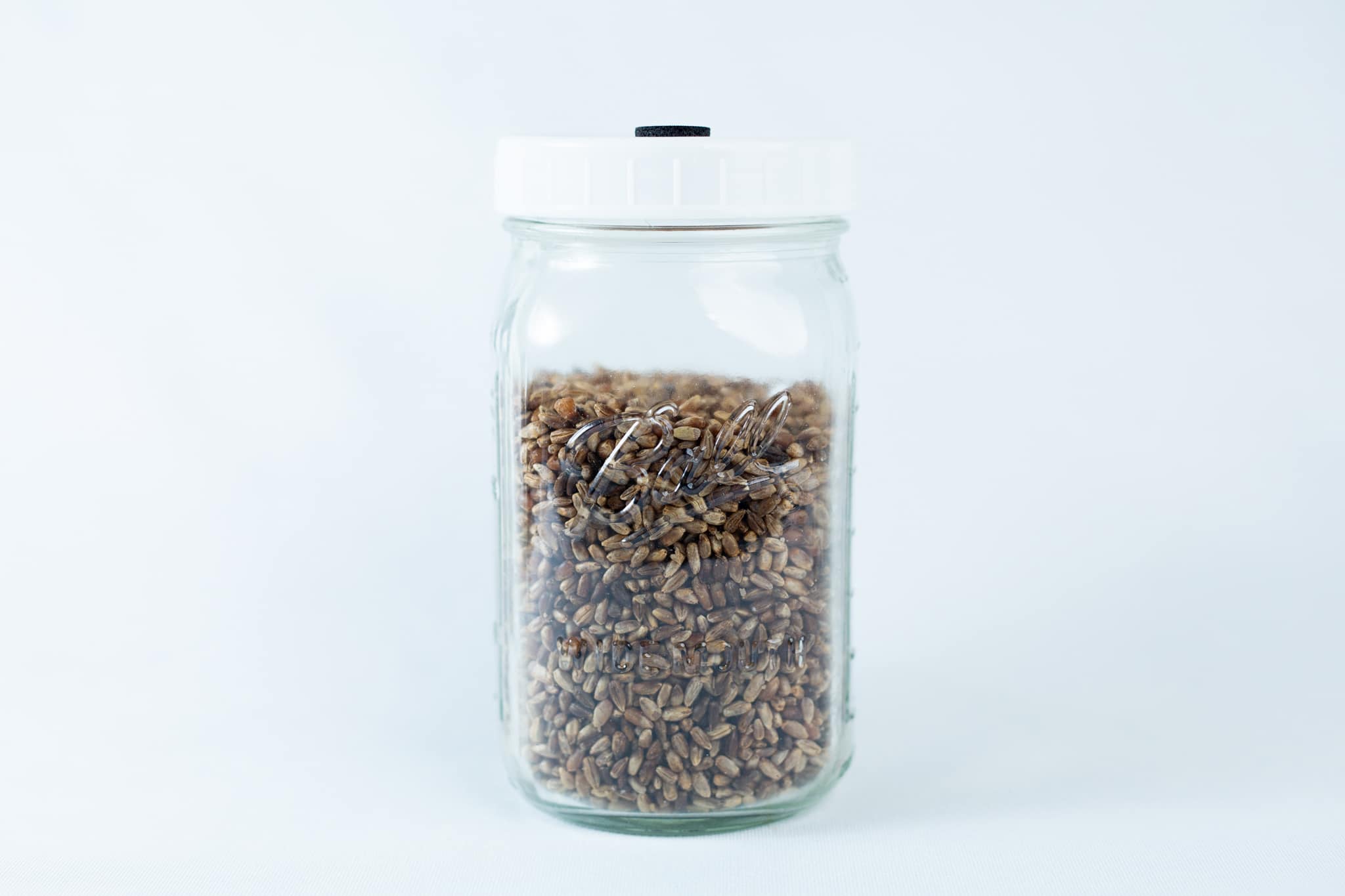 Grain Jars ball 1 L Pre-Sterilized | Millet | Organic Rye | Reusable Jar and lid 2 A clear 1L Ball grain jar with a white lid is filled with organic millet and rye, set against a plain white background. The pre-sterilised jar and lid are reusable.