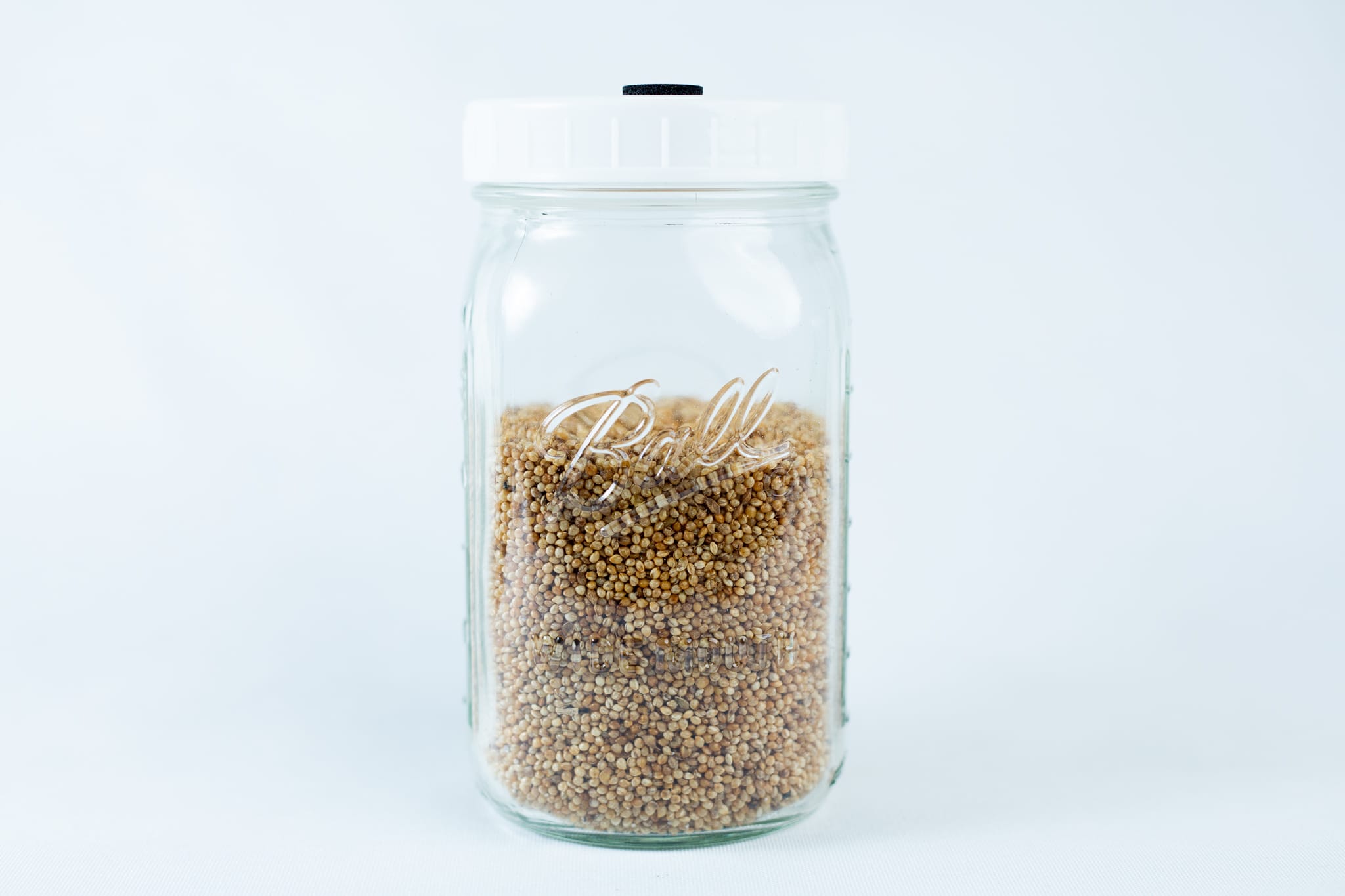 Grain Jars ball 1 L Pre-Sterilized | Millet | Organic Rye | Reusable Jar and lid 1 1000 liter Millet Jar Grain