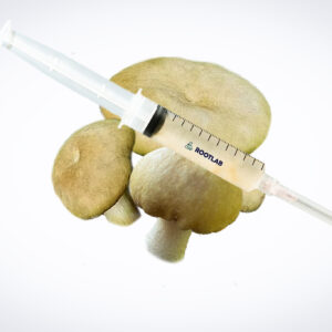 A syringe of Mushroom Liquid Culture | Wood Ear | Auricularia auricula-judae is displayed atop three Wood Ear mushrooms on a white background.