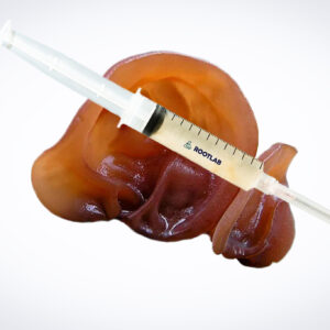 A syringe of Mushroom Liquid Culture | Wood Ear | Auricularia auricula-judae sits atop a human liver model.