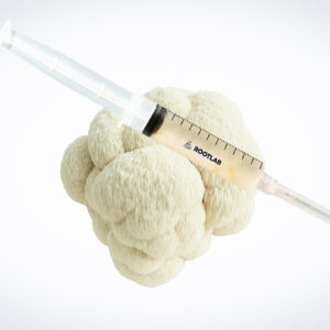 Home 24 A syringe of Mushroom Liquid Culture | Lion’s Mane Claw Heat Tolerant | Hericium erinaceus | Commercial rests atop a cluster of white mushrooms.