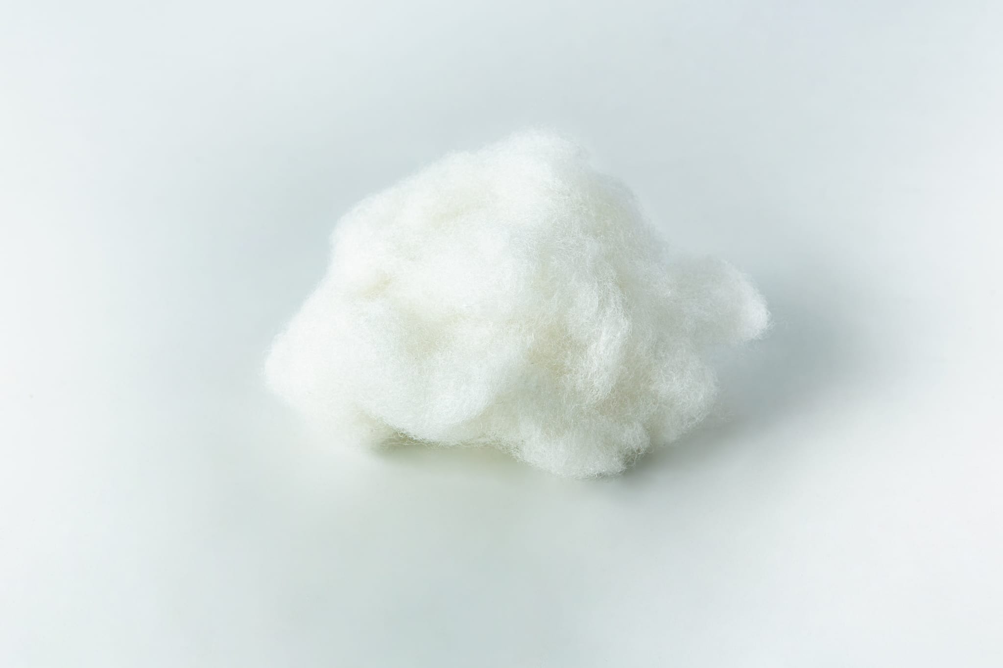 Polyfill fibre for Mycology 1 A small, fluffy white ball of cotton against a plain white background.