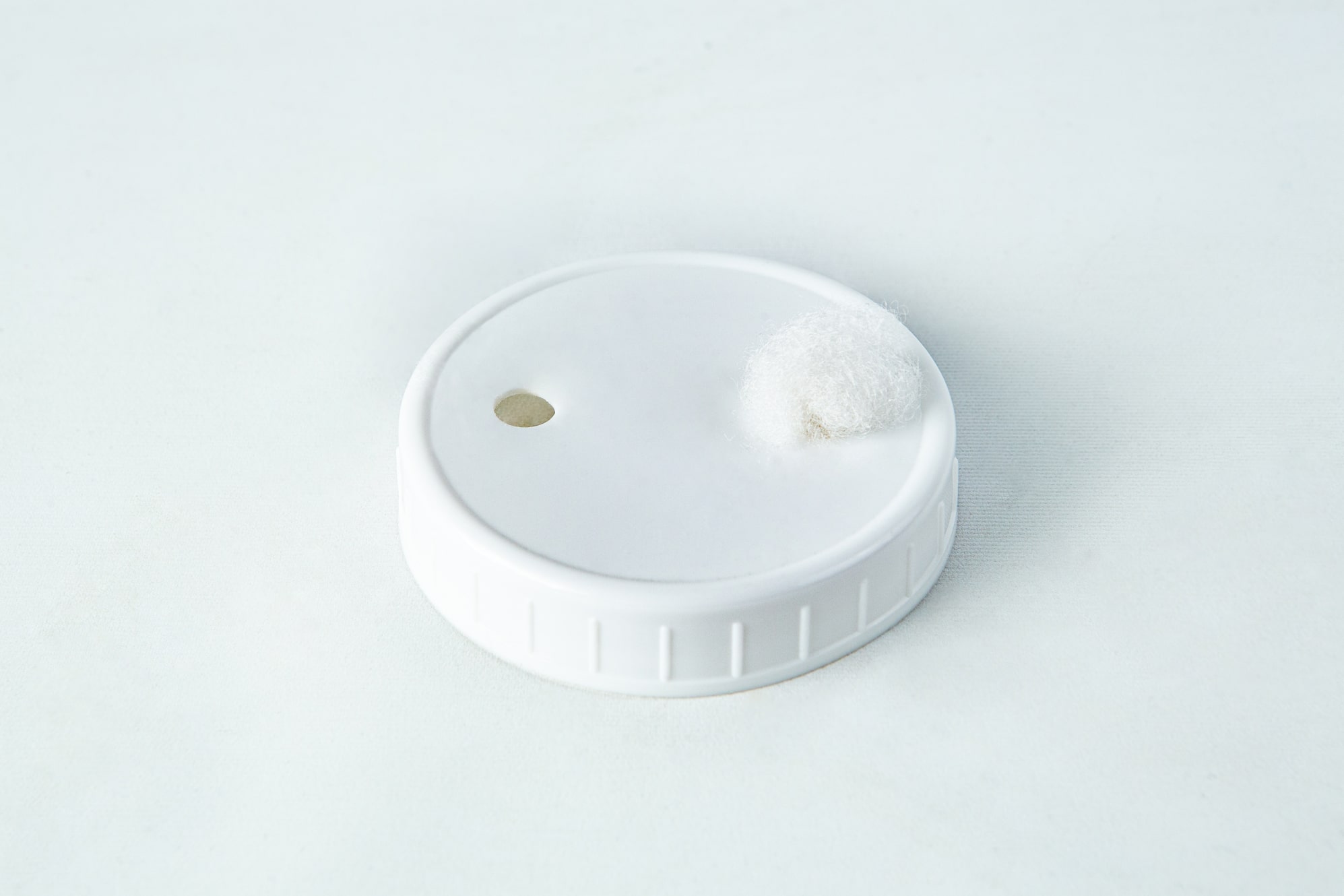 Polyfill fibre for Mycology 2 A white plastic cap with a small round object.