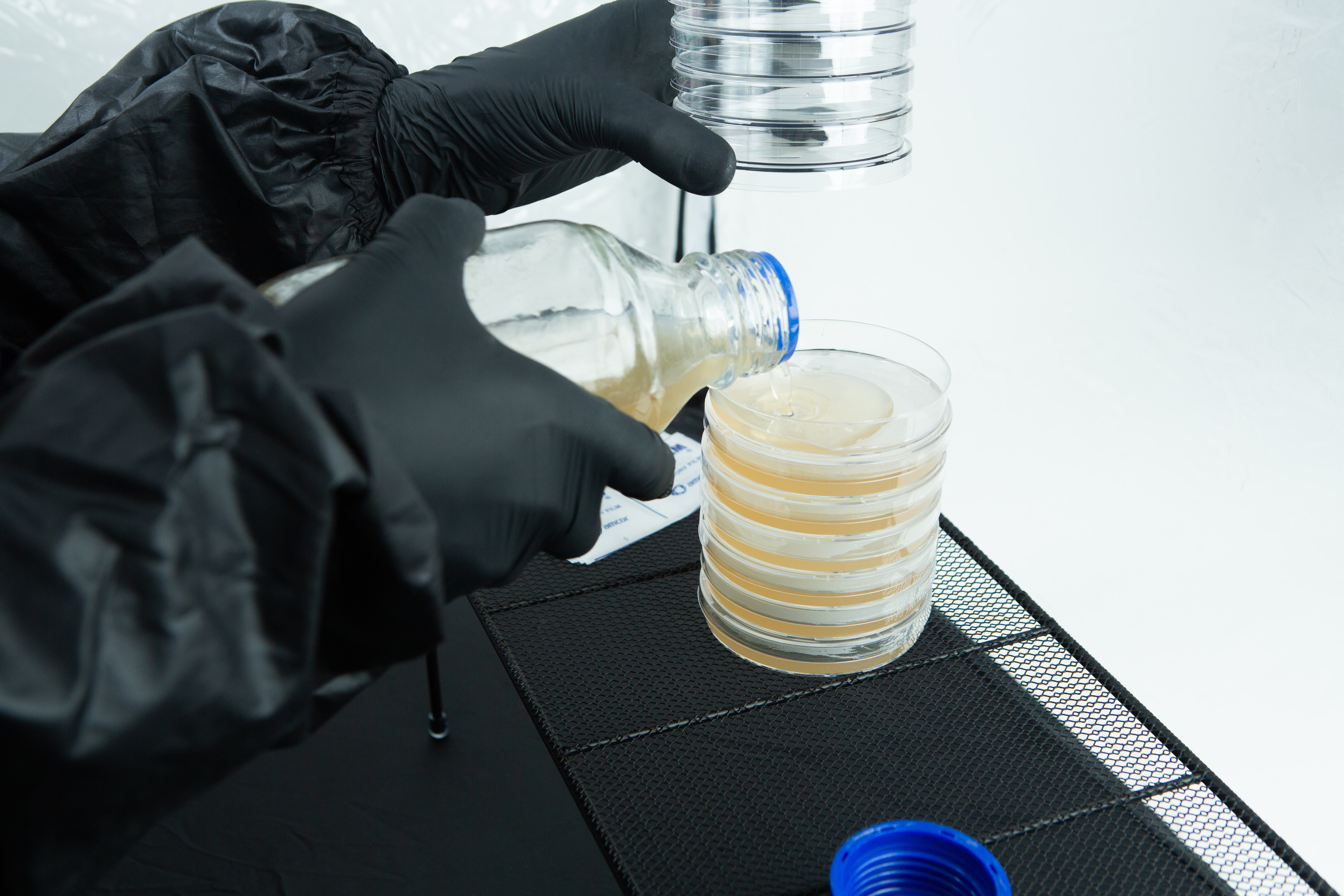 Still Air Box (SAB)| Mushroom | Large | Pop up 7 Person in black gloves pours liquid into stacked petri dishes on a lab bench.