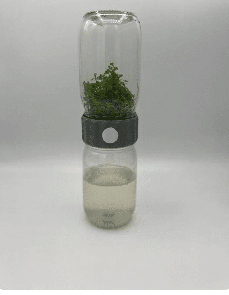 Plant Cell Biocoupler™ collar only (regular mouth) 9 The Plant Cell Biocoupler™ Glass Set (470ml, 350ml, 230ml) features a glass bottle with green plants on top, cloudy liquid at the bottom, and a grey cap connecting them.