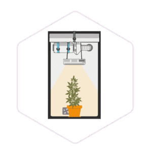 Greenhouse & Hydroponics