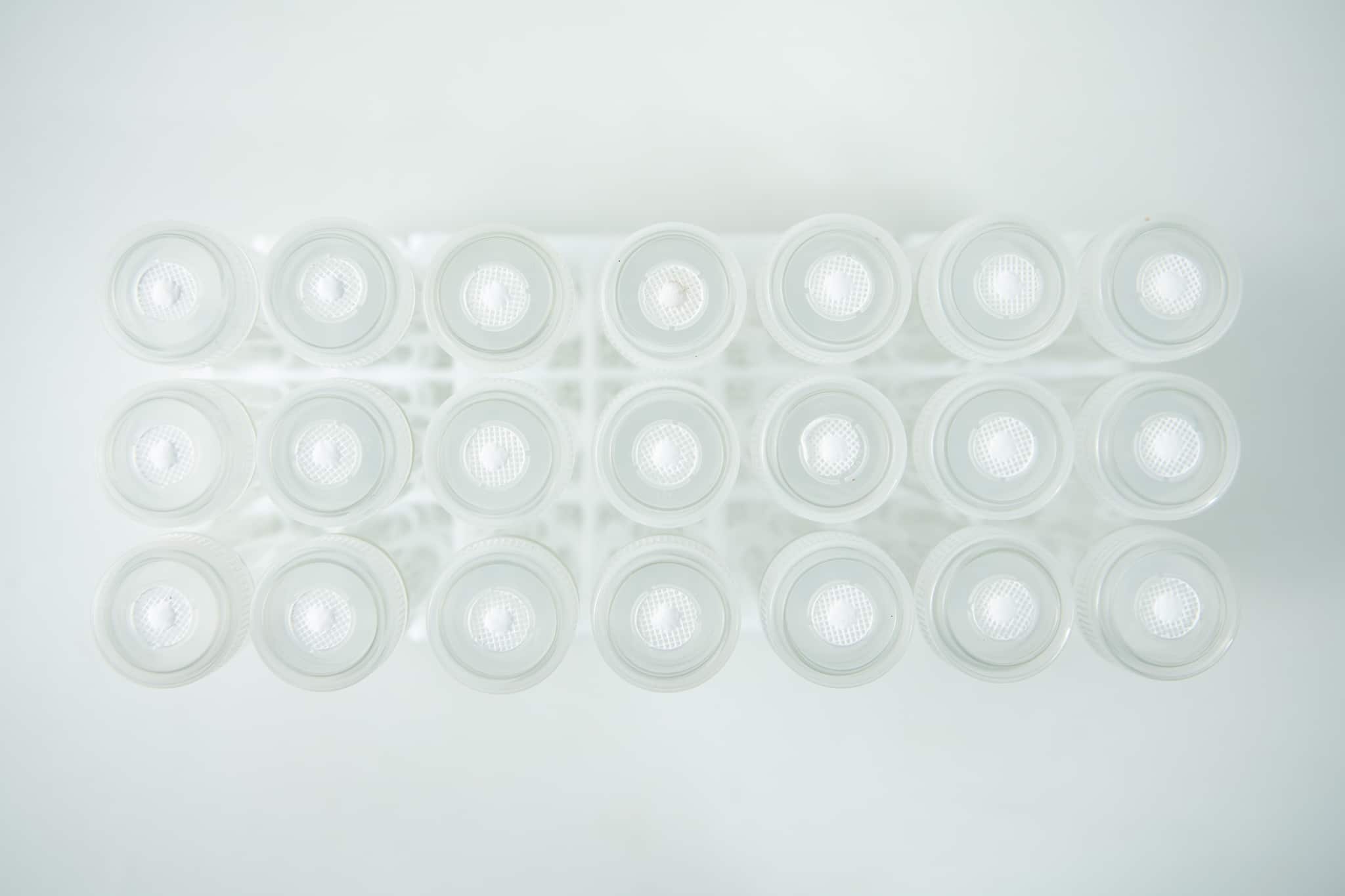 Plant Cell Vented Plant TC Test Tubes with rack 12pc 4 Top view of a rack holding 12 Plant Cell Vented Plant TC Test Tubes, arranged in rows on a white background.
