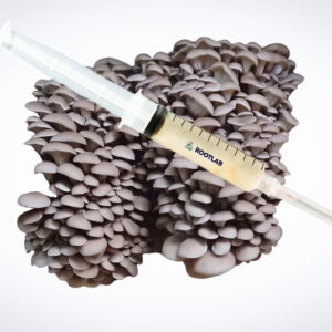 A syringe with liquid sits on Princess of Pearl Oyster (Pleurotus ostreatus) mushrooms, illustrating our 3kg Mushroom Fruiting Blocks—ideal for farms seeking wholesale cultivation solutions.