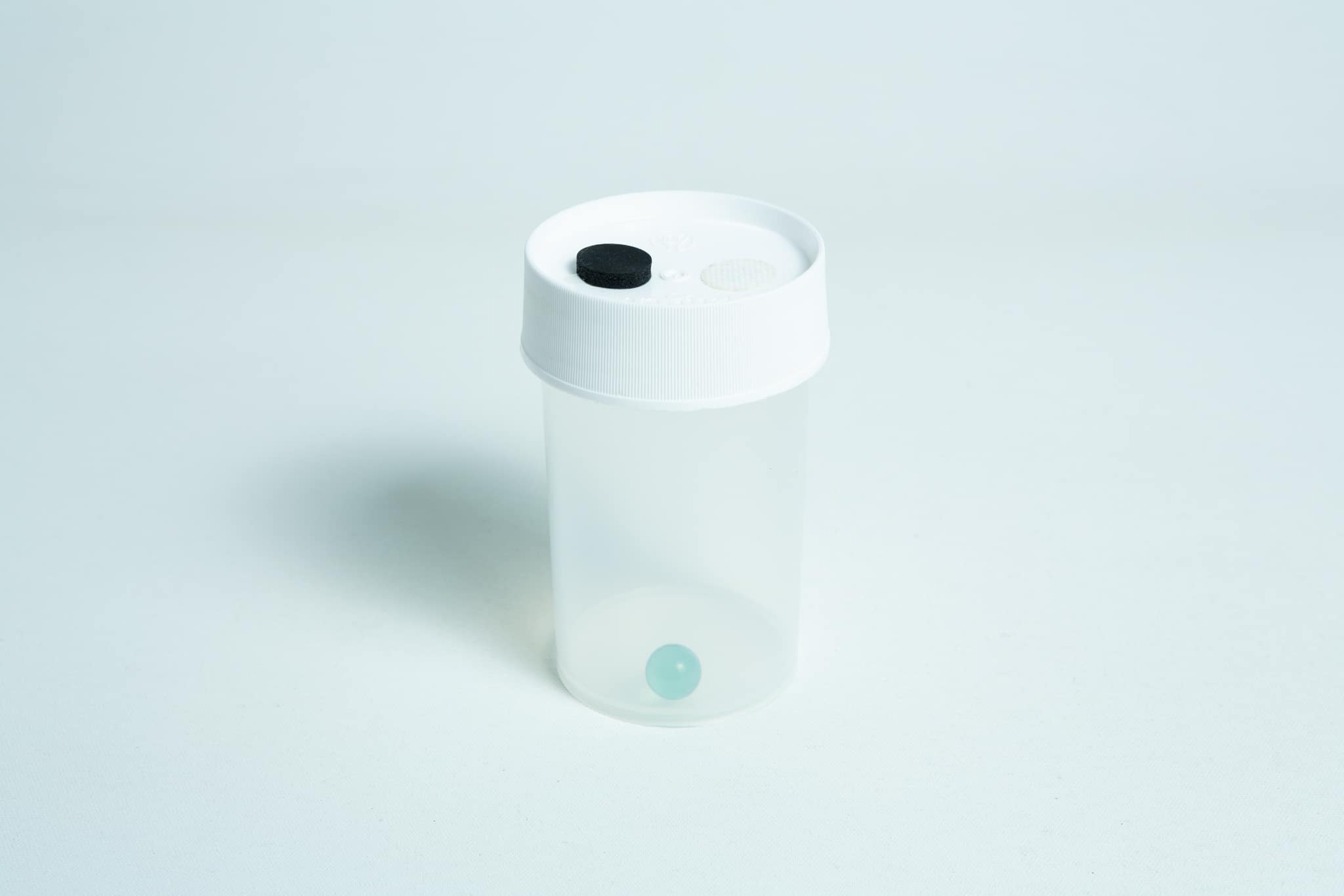 Liquid culture to Liquid culture expansion Kit 2 The Liquid Culture to Liquid Culture Expansion Kit features a clear plastic container with a white lid, black button, and a small blue sphere inside.
