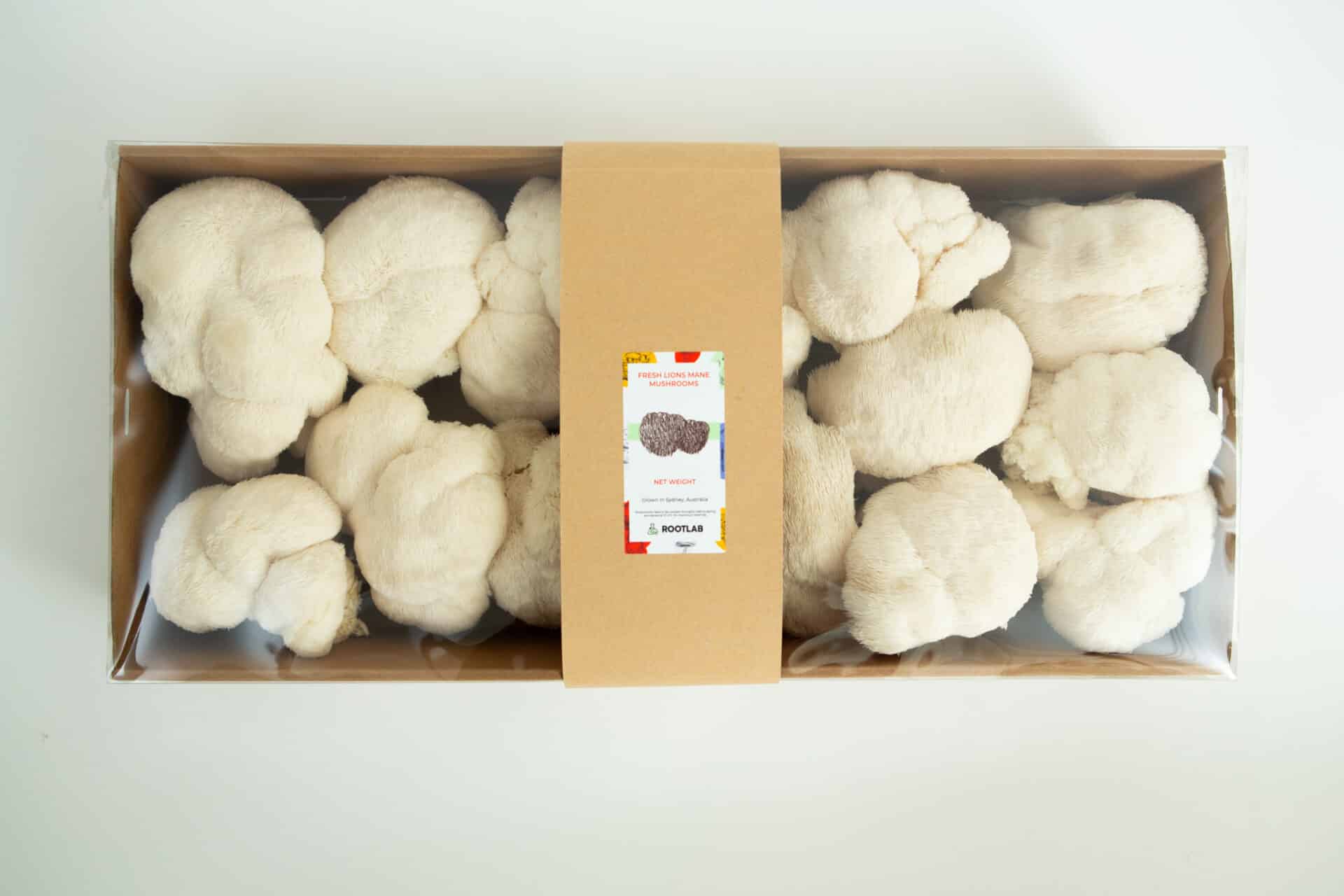 Mushroom Punnet | Fresh Lion's Mane Sydney | Pickup only 3 Fresh Lion’s Mane mushrooms in a clear mushroom punnet with a brown paper label, available for collection only in Sydney—perfect for local food lovers.