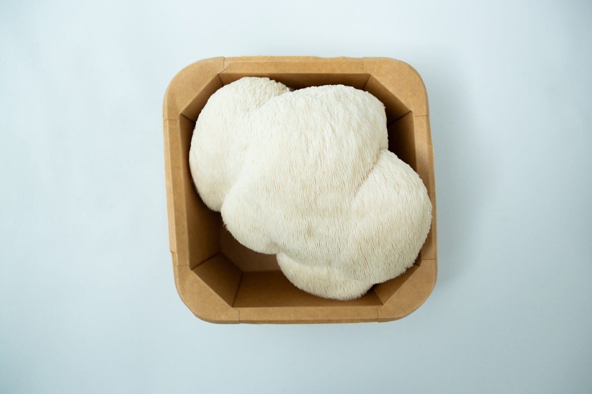 Mushroom Punnet | Fresh Lion's Mane Sydney | Pickup only 1 Mushroom Punnet | Fresh Lion's Mane Sydney | Collection only—fresh Lion's Mane mushrooms in a punnet, ready for Sydney foodies seeking top-quality produce.