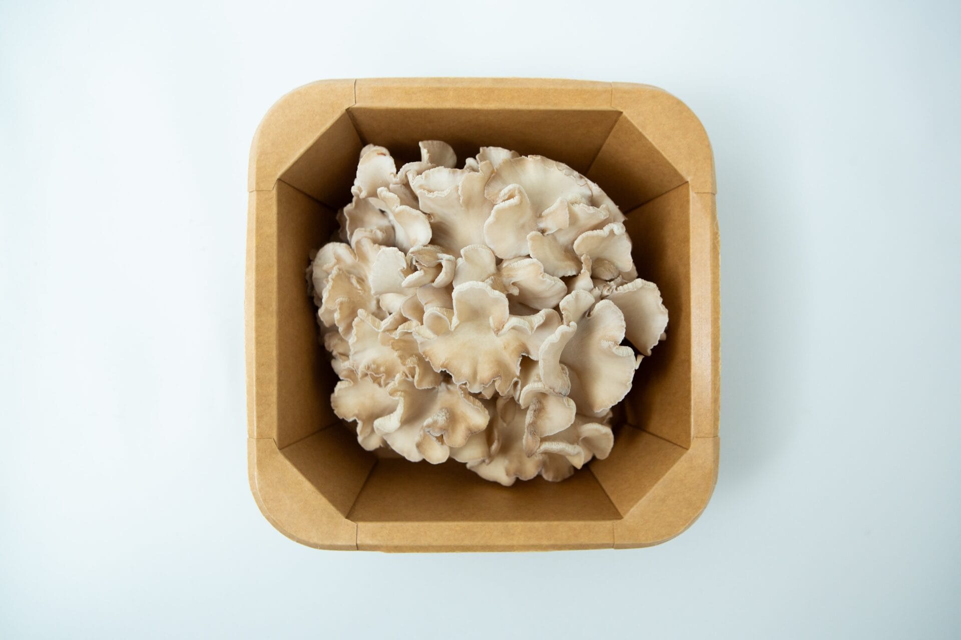 Mushroom Punnet | Fresh Maitake Sydney | Pickup only 1 Mushroom Punnet | Maitake | Grifola frondosa in a brown cardboard carton filled with fresh mushrooms, displayed on a white background and viewed from above.