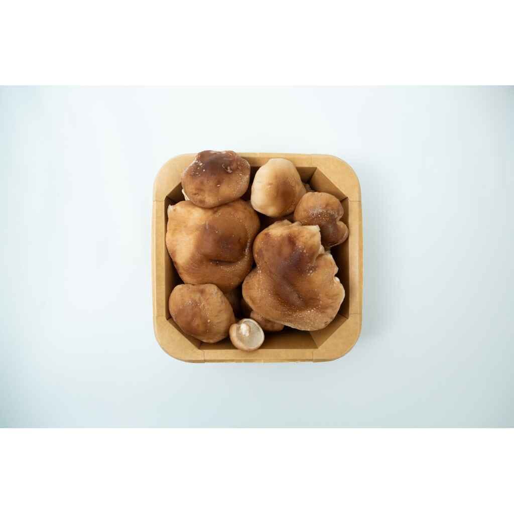Mushroom Punnet | Shiitake (Lentinula edodes) shown from above in a cardboard carton on a white background.