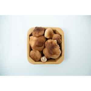 Mushroom Punnet | Shiitake (Lentinula edodes) shown from above in a cardboard carton on a white background.