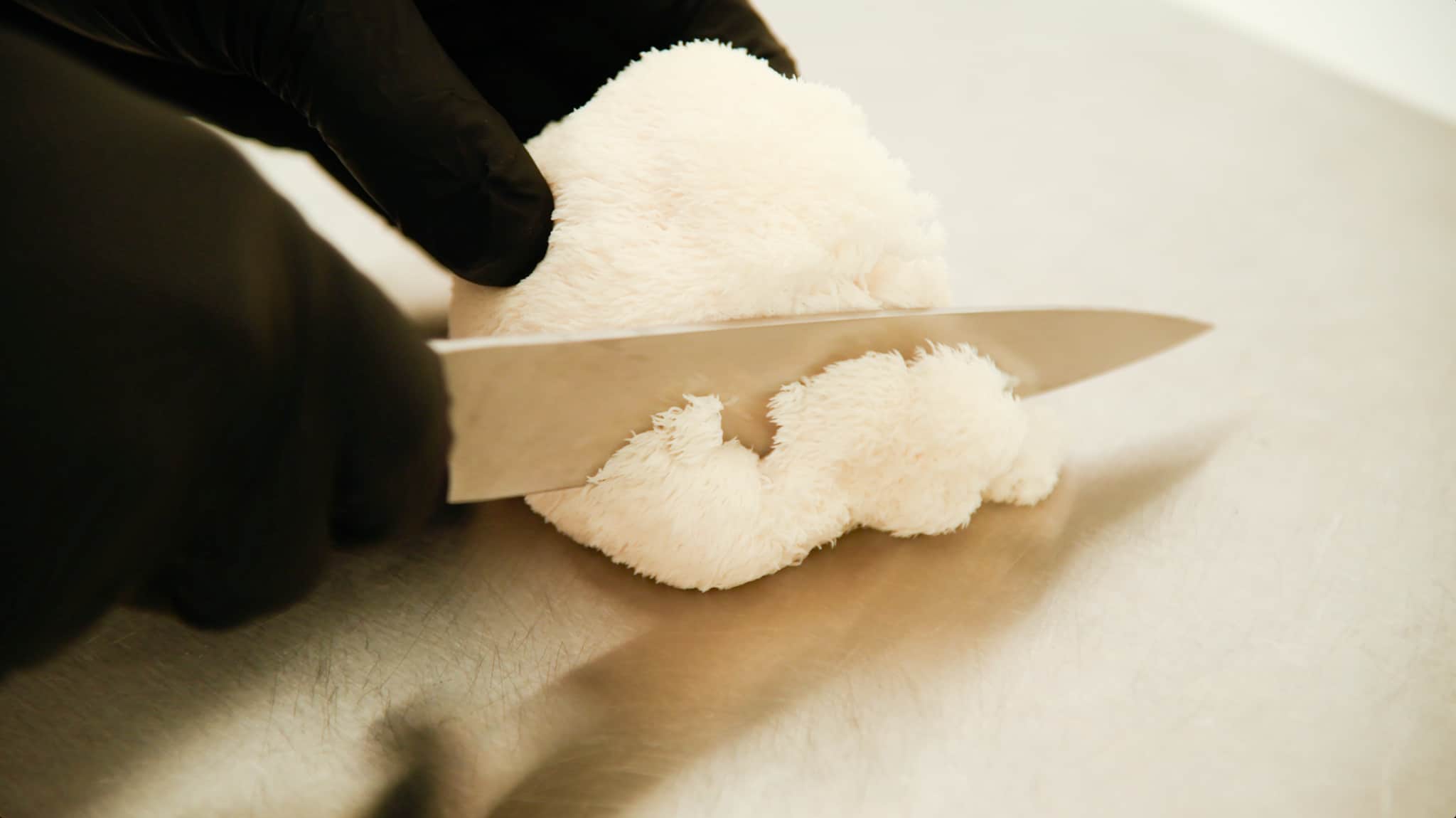 Lions Mane Mushroom Powder 100% Australian grown 100% fruiting body! 2 A person in black gloves slices an Australian-grown Freeze-Dried Lion's Mane Mushroom (whole or powder) with a knife on a chopping board.