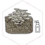 Block with spray with hexagon 01