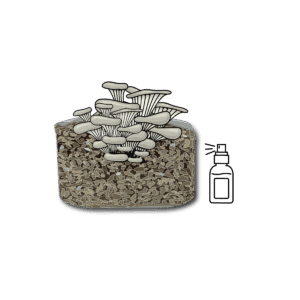 Mushroom Grow Kit - Spray and Grow