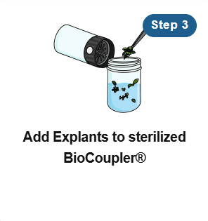 A hand adds plant explants to a sterilised jar labelled BioCoupler®, step 3 is indicated.