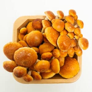 The Chestnut Punnet features clusters of small, orange-brown mushrooms arranged on a white background.