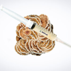 A syringe filled with liquid rests on top of a cluster of brown and white mushrooms.