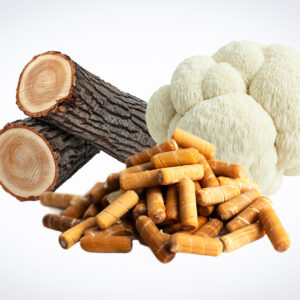 Two logs, a lion’s mane mushroom, and a pile of brown capsules on a white background.