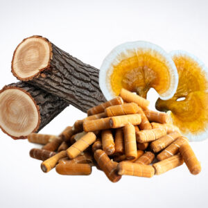 Two cut logs, two dried mushroom slices, and several wood pellets on a white background.