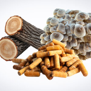 Logs, wood pellets, and oyster mushrooms grouped together on a white background.