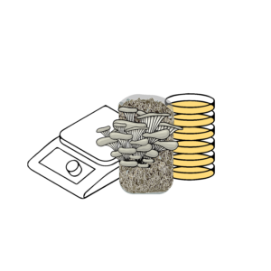 Bundles