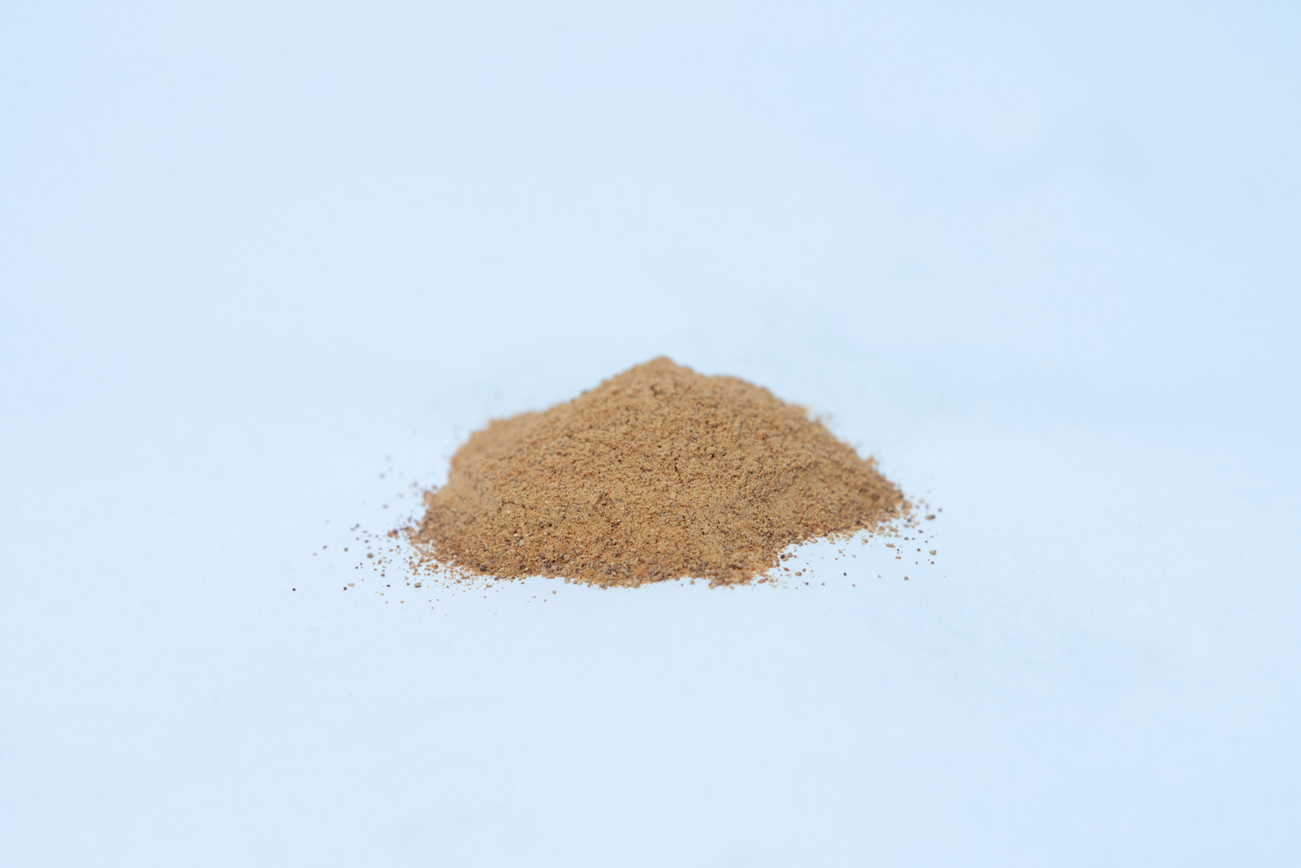 Australian Grown Dehydrated Cordyceps militaris (Powder) 4 Cordyceps Powder Dehydrated