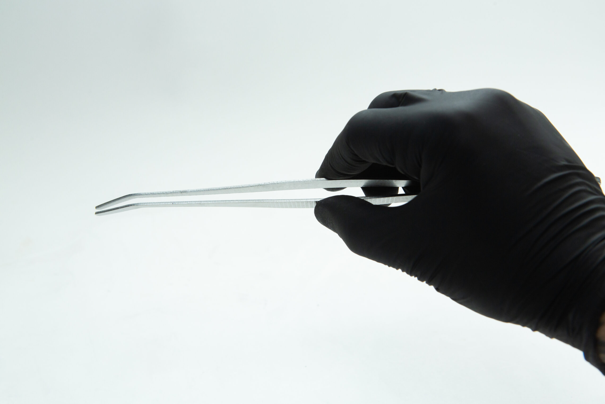 Stainless Steel Plant tissue culture Lab Forceps | Curved & Straight Tips | 25cm 5 A hand in a black glove holds metal tweezers against a plain white background.
