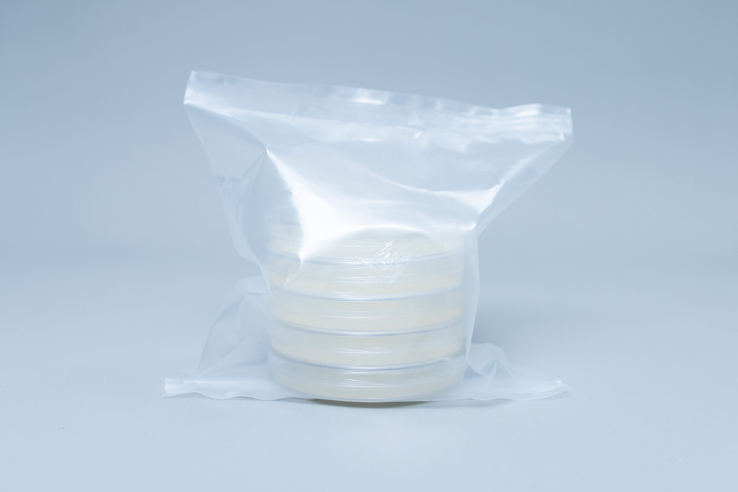 Potato Dextrose Agar (PDA) plates Pre poured 90mm 8 Potato Dextrose Agar (PDA) plates Pre poured 90mm - Image 8