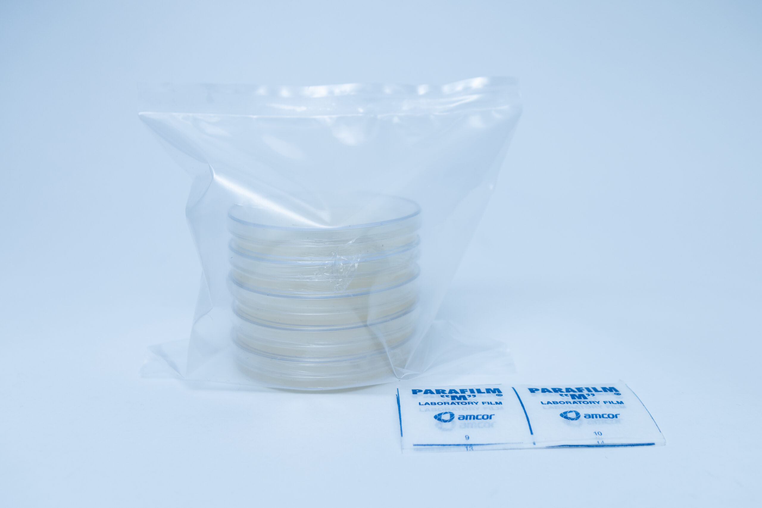 Potato Dextrose Agar (PDA) plates Pre poured 90mm 7 A stack of petri dishes in a plastic bag next to two packets of Parafilm laboratory film.
