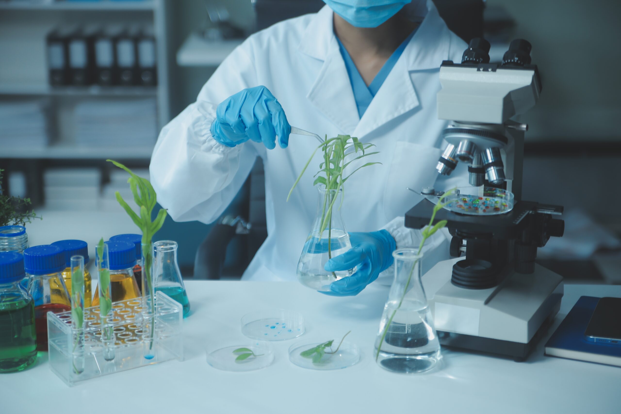 Stainless Steel Plant tissue culture Lab Forceps | Curved & Straight Tips | 25cm 10 Scientist in lab coat examines plant in flask, surrounded by lab equipment and microscope.