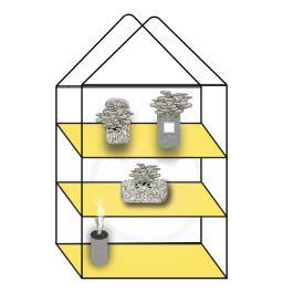 Line art glasshouse with yellow shelves holding jars and trays of mushrooms, plus a small smoking container below—perfect inspiration for anyone seeking quality mushroom growing supplies.